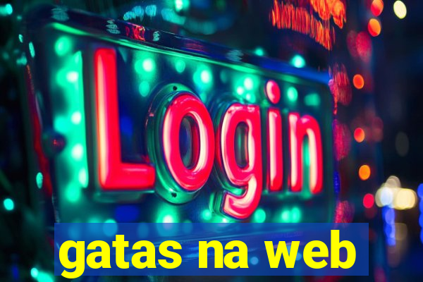 gatas na web